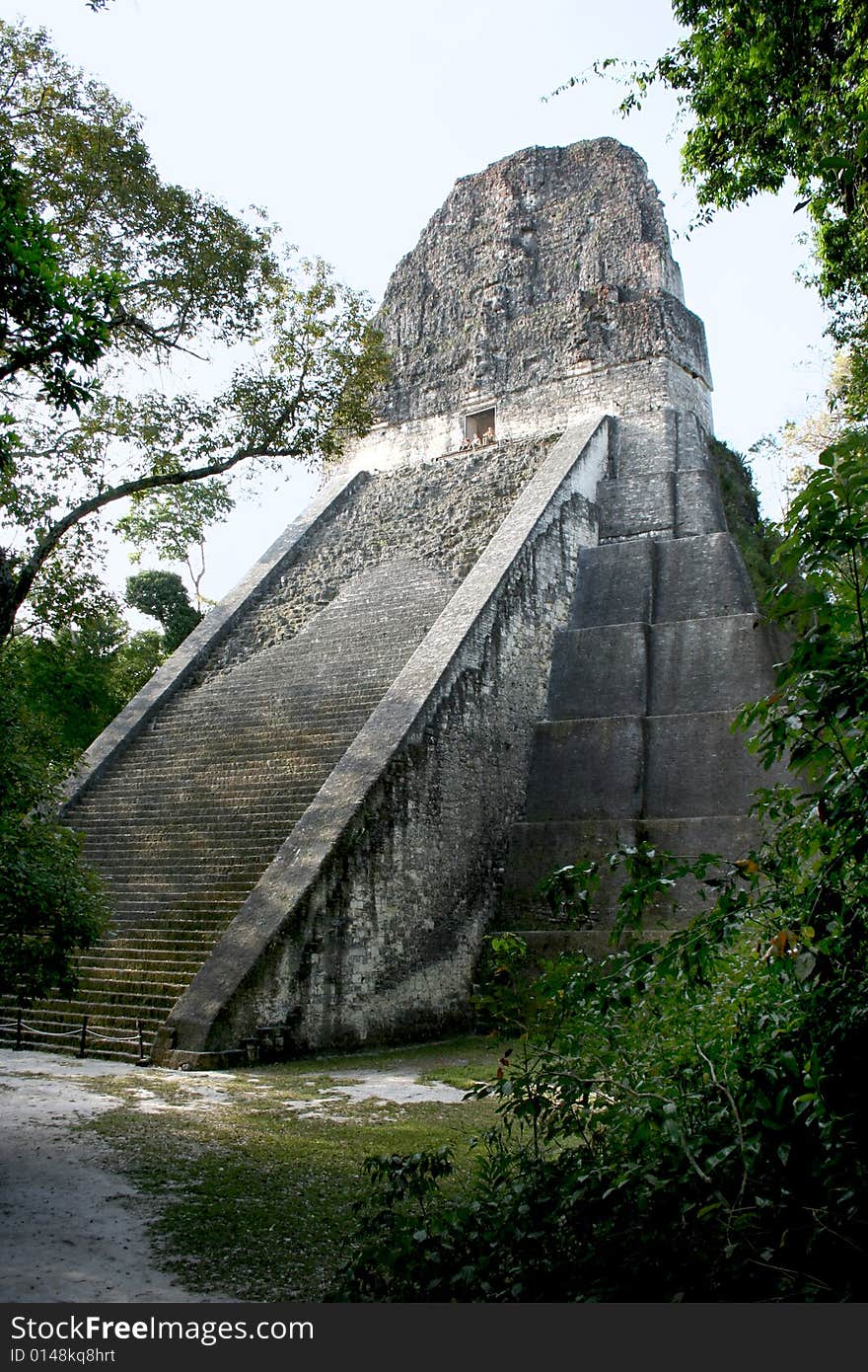 Tikal Pyramid