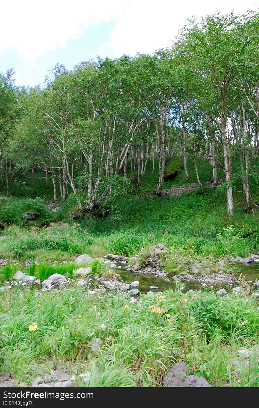 Scene near Changbai Waterfall of Changbaishan (Changbai Mountains or Baekdu) in Jilin Province, China.