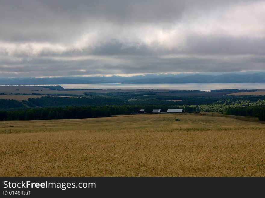 Lowering sky above a field