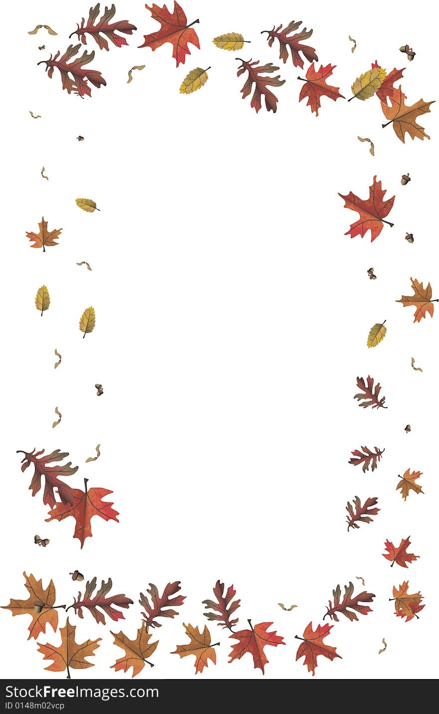 View of leaves framework on a white background