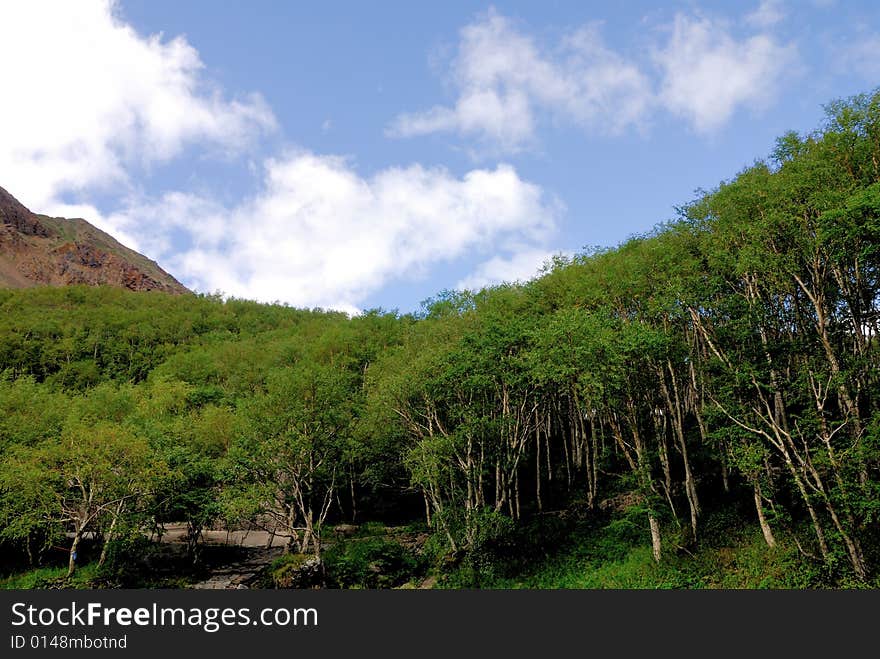 Scene near Changbai Waterfall of Changbaishan (Changbai Mountains or Baekdu) in Jilin Province, China.