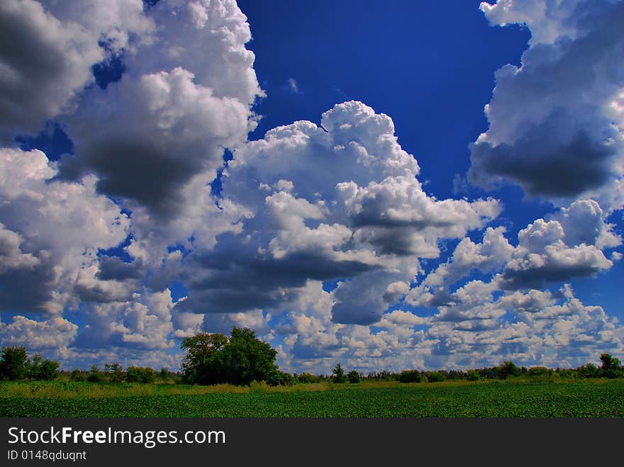 Afternoon Clouds