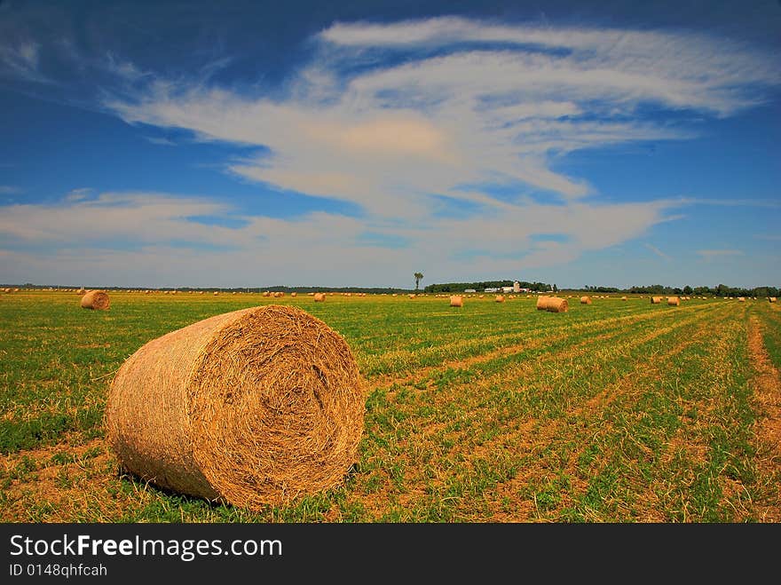 Round Hay Bales