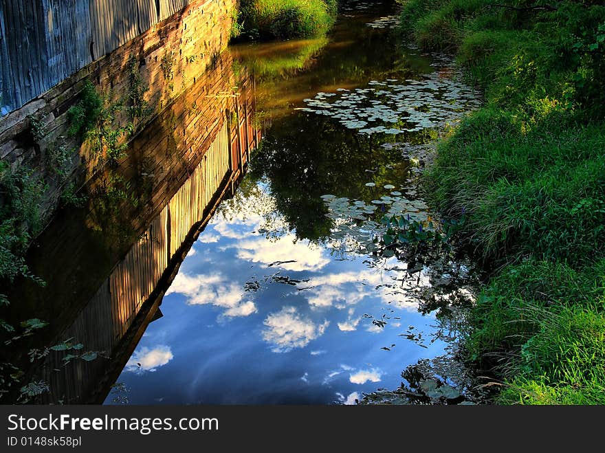 Summer Stream Reflections