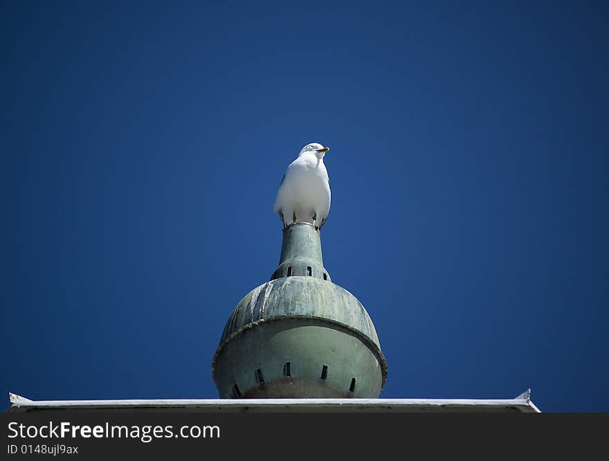 A seagull sitting on the top of a lighthouse, watching. A seagull sitting on the top of a lighthouse, watching.