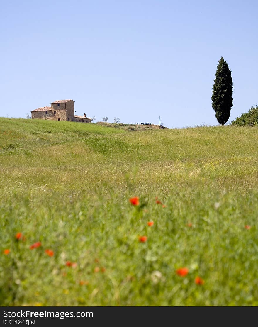 TUSCANY farm