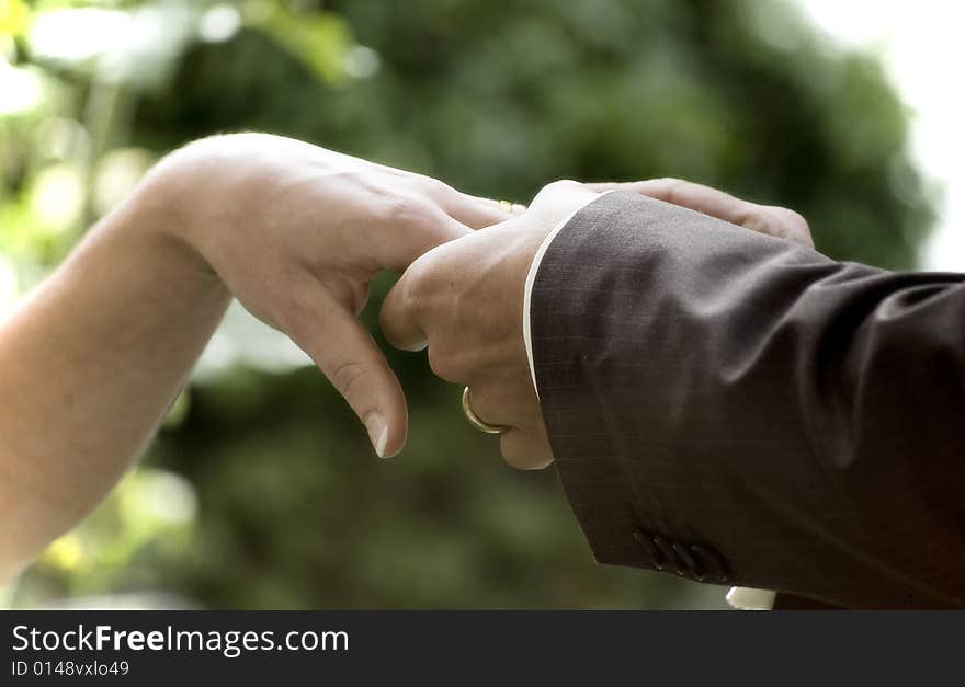 Exchanging rings at an outdoor wedding, threes in the background. Exchanging rings at an outdoor wedding, threes in the background.