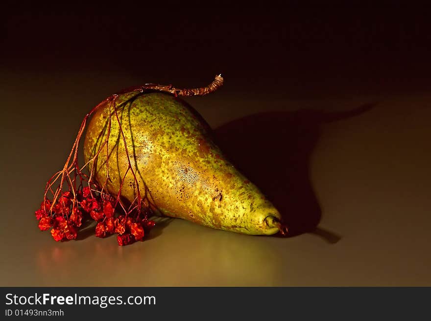 Photo of the pears and the ashberry twig