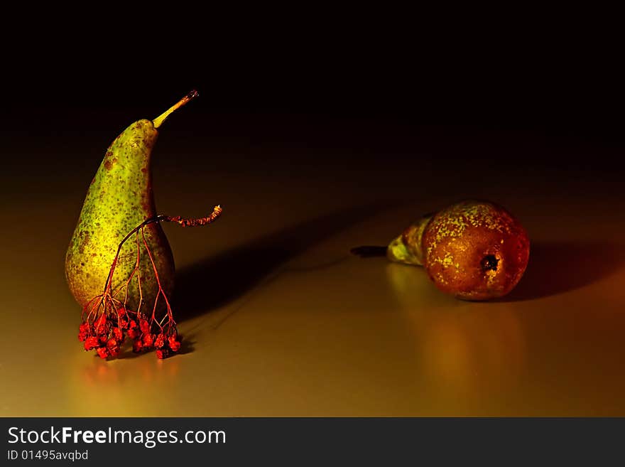 Photo of the two pears and the ashberry twig