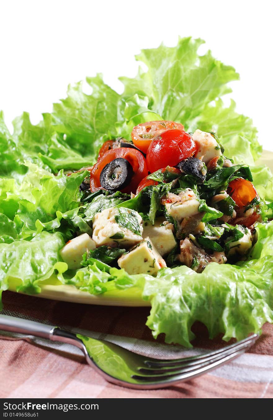 Salad on a Plate Isolated on White Background