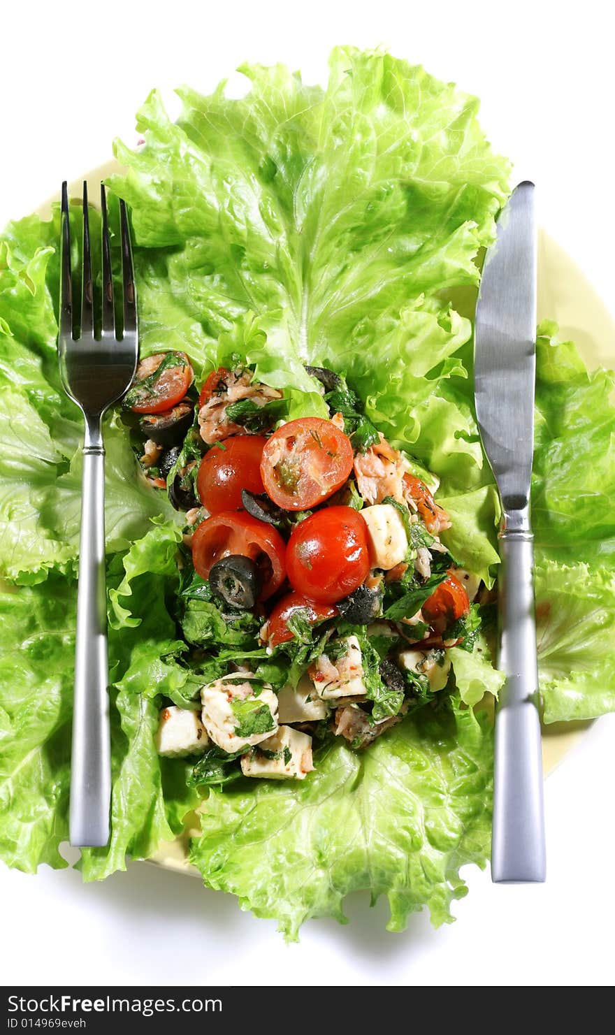 Salad on a Plate Isolated on White Background