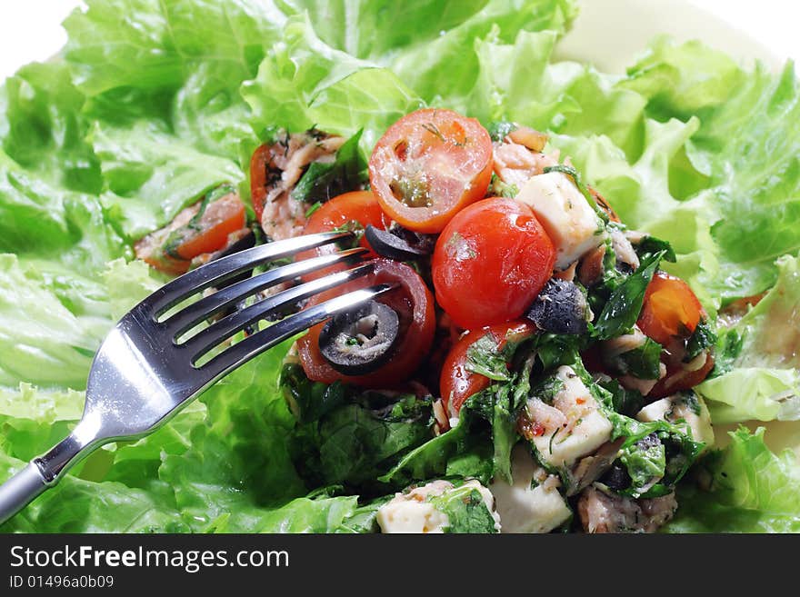 Salad on a Plate Isolated on White Background