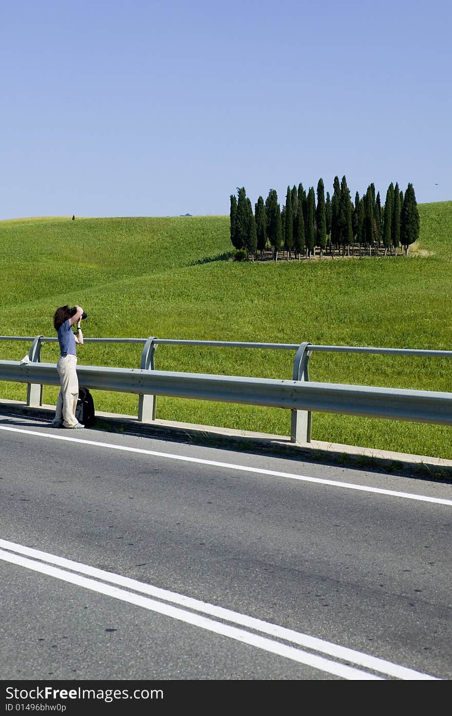 TUSCANY Countryside With Cypress