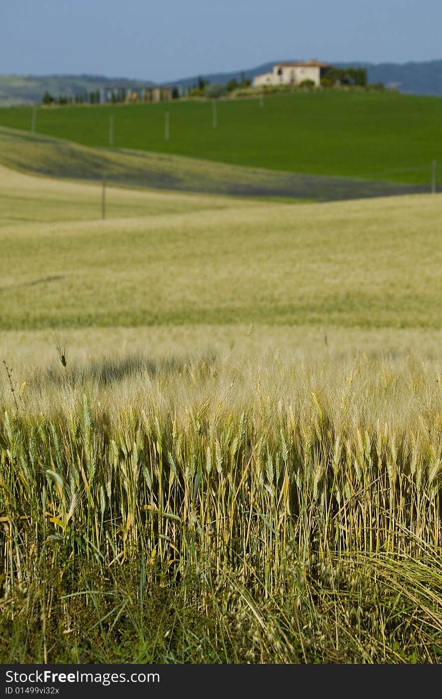 TUSCANY countryside with distant farm