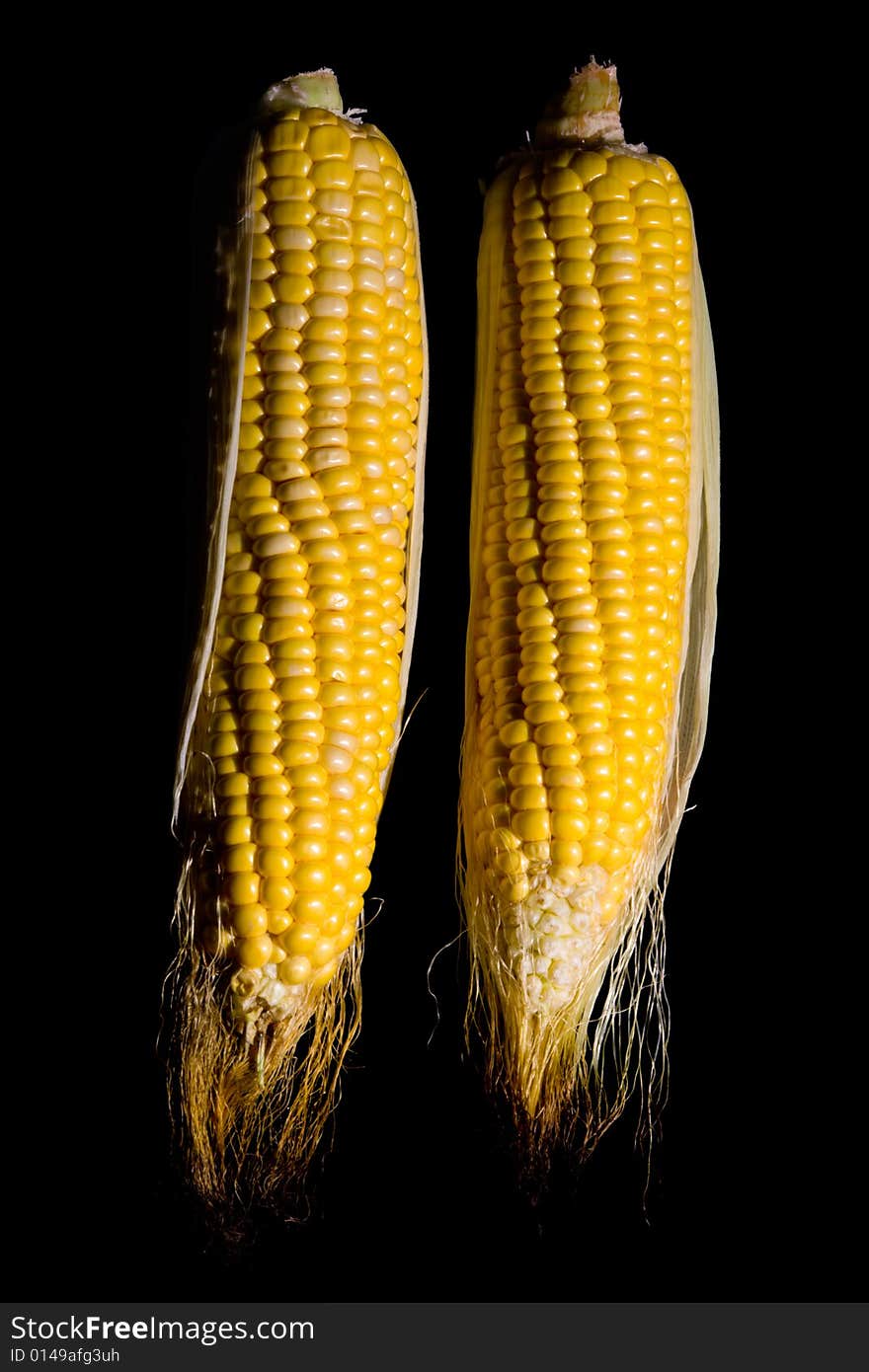 Corn on the cob