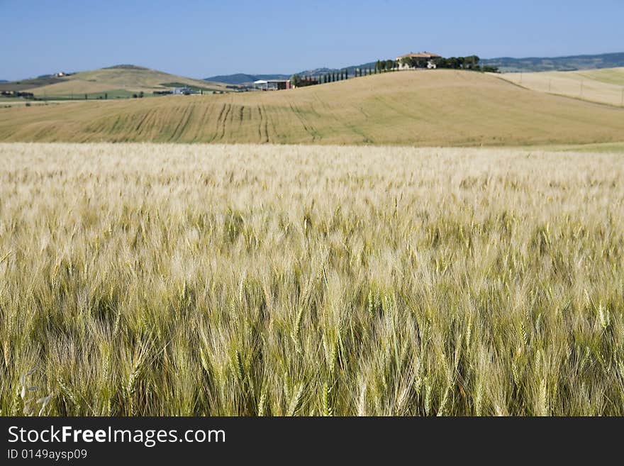 TUSCANY countryside with distant farm and meadow