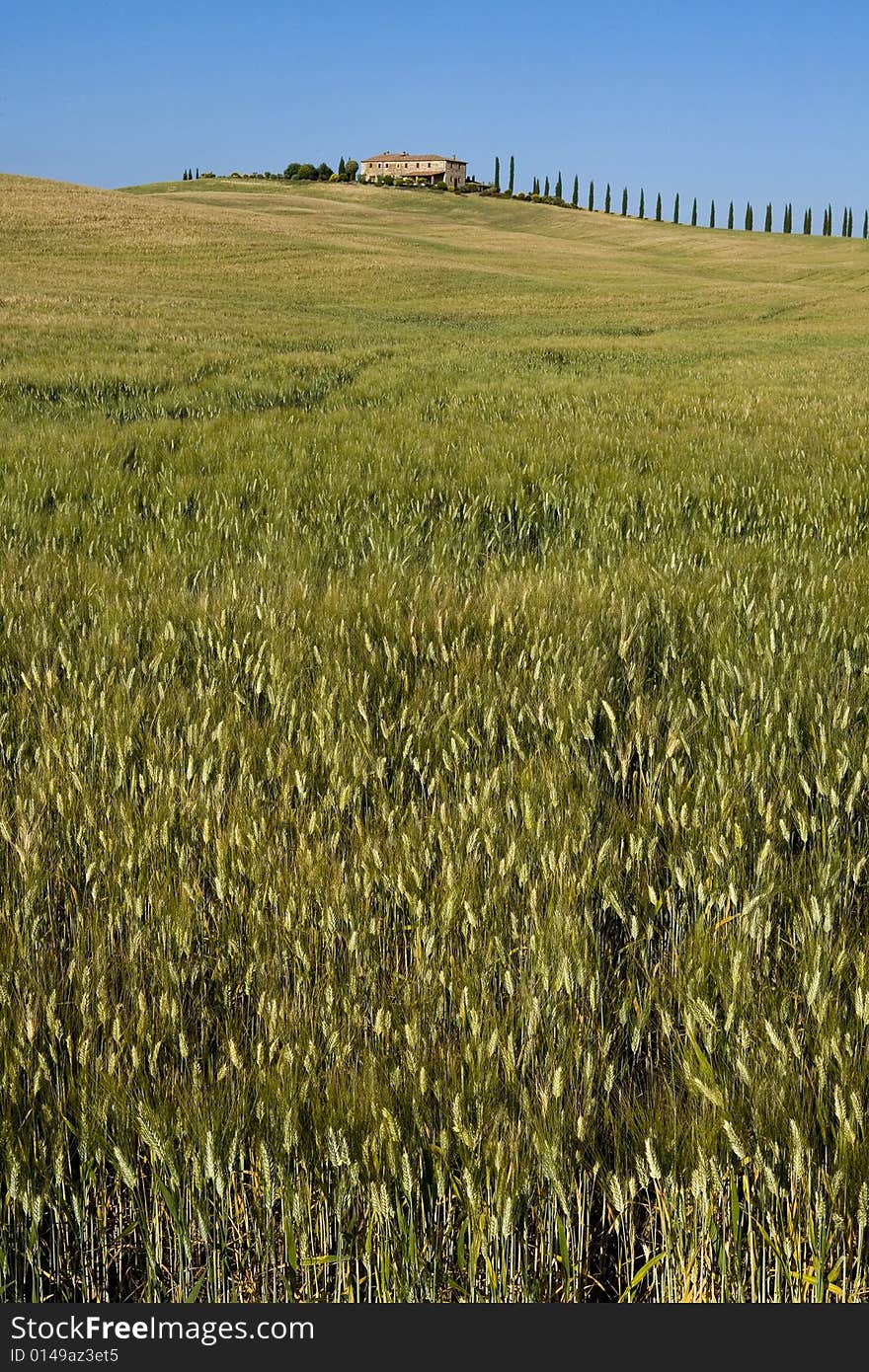 TUSCANY countryside with distant farm and meadow