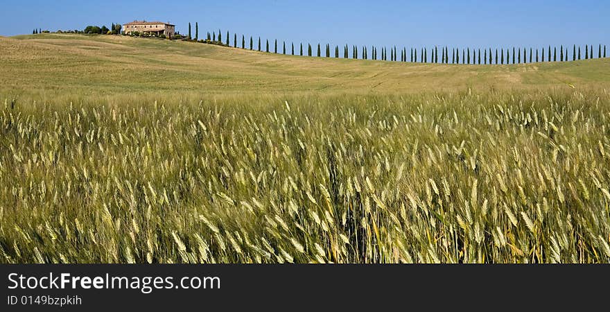 Tuscan countryside with distant farm and meadow. Tuscan countryside with distant farm and meadow