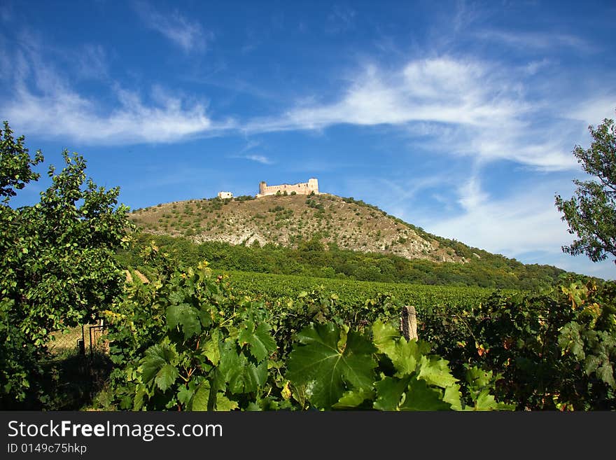 Ruin of castle Divci hrady (Young Ladies Cactles) on behind of Pavlov village vineyard. Ruin of castle Divci hrady (Young Ladies Cactles) on behind of Pavlov village vineyard.