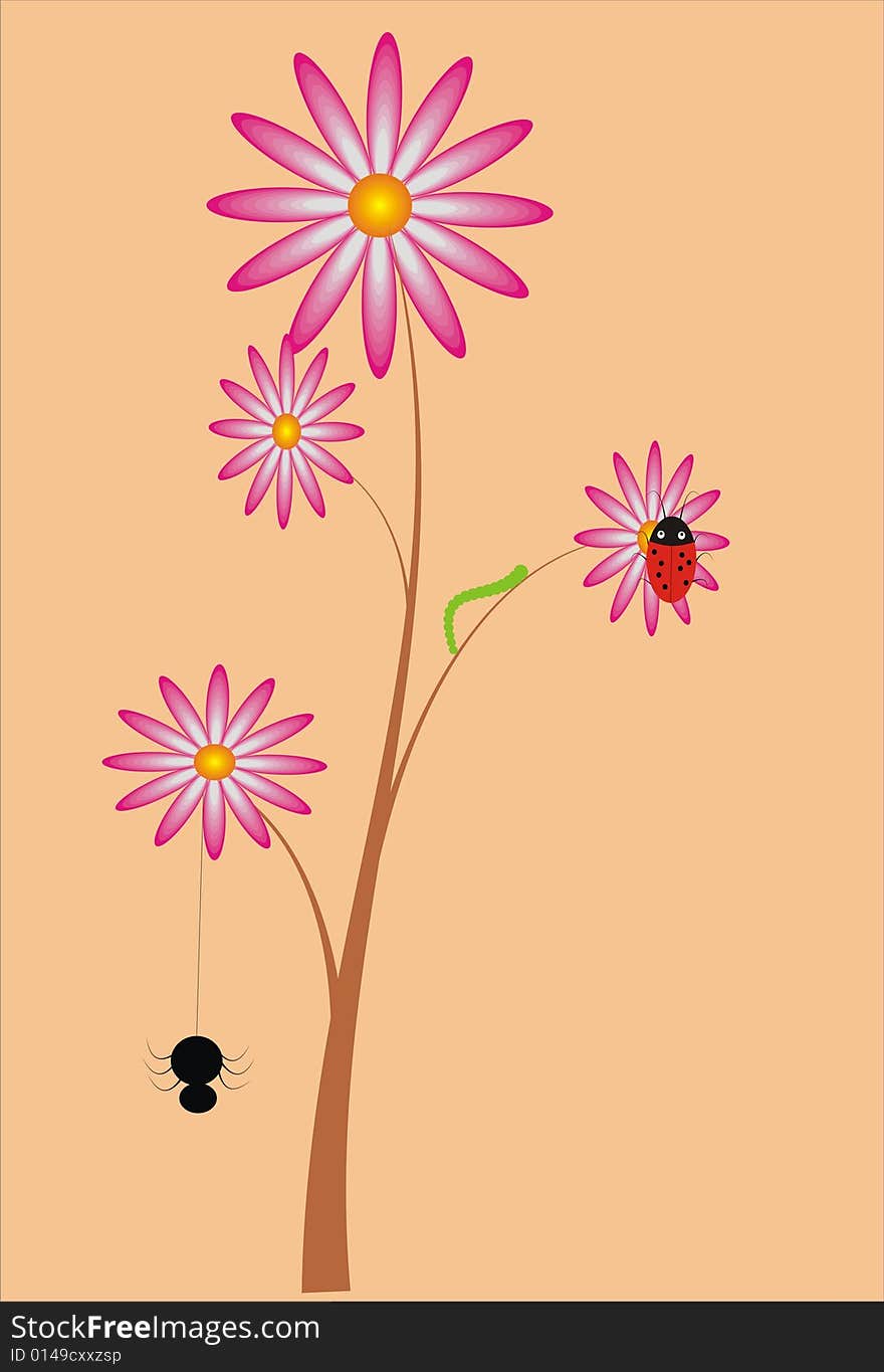 Flower with ladybird and other insects