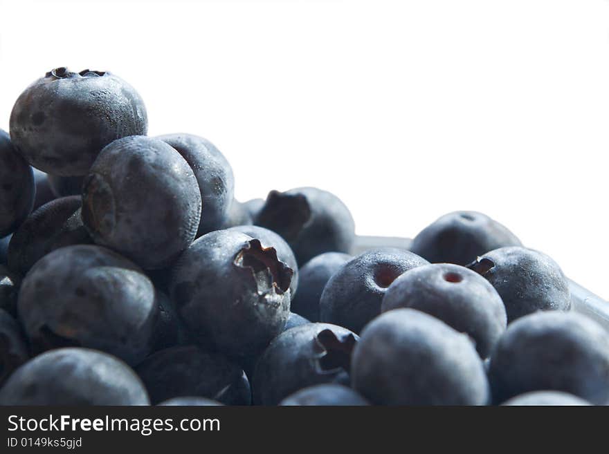 Fresh bilberries