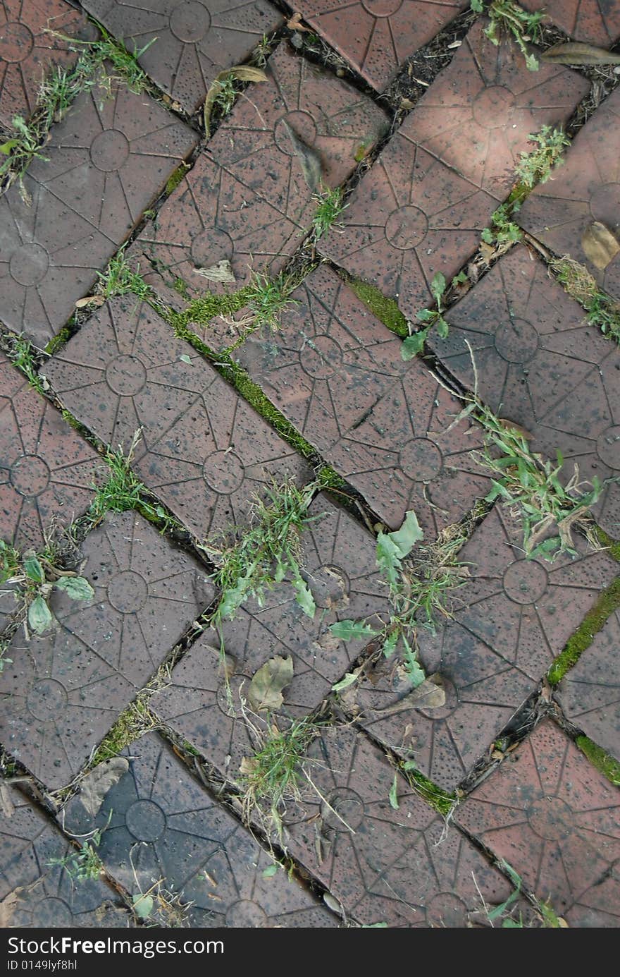 A very old, decorative brick walk shot straight down with grass in the cracks.