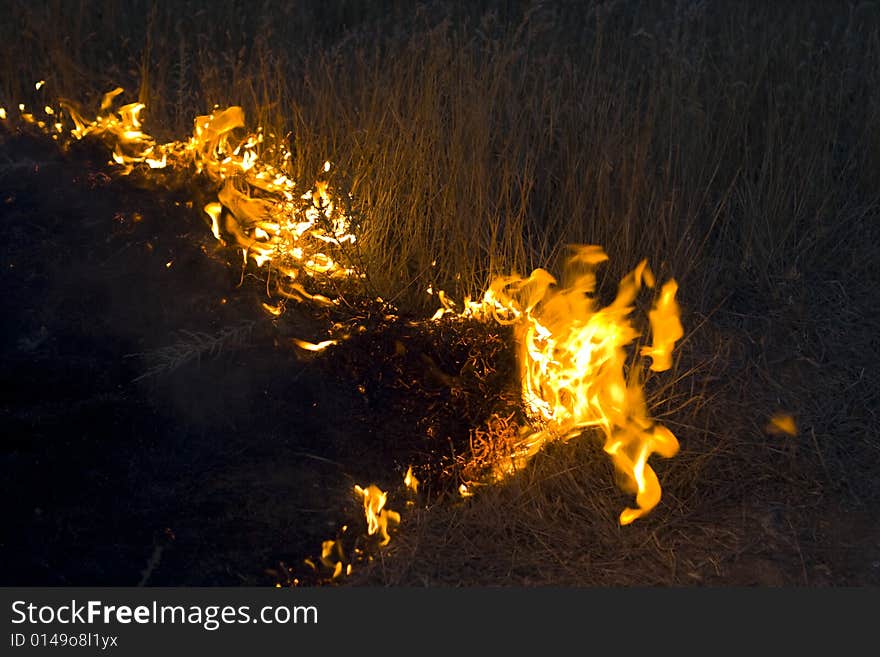 Fire in steppe