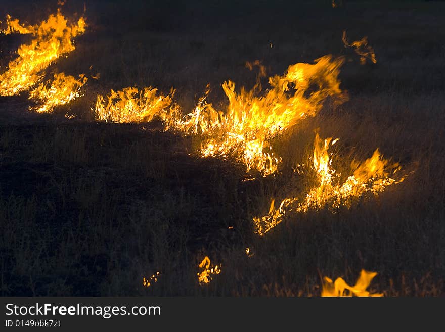 Fire in steppe