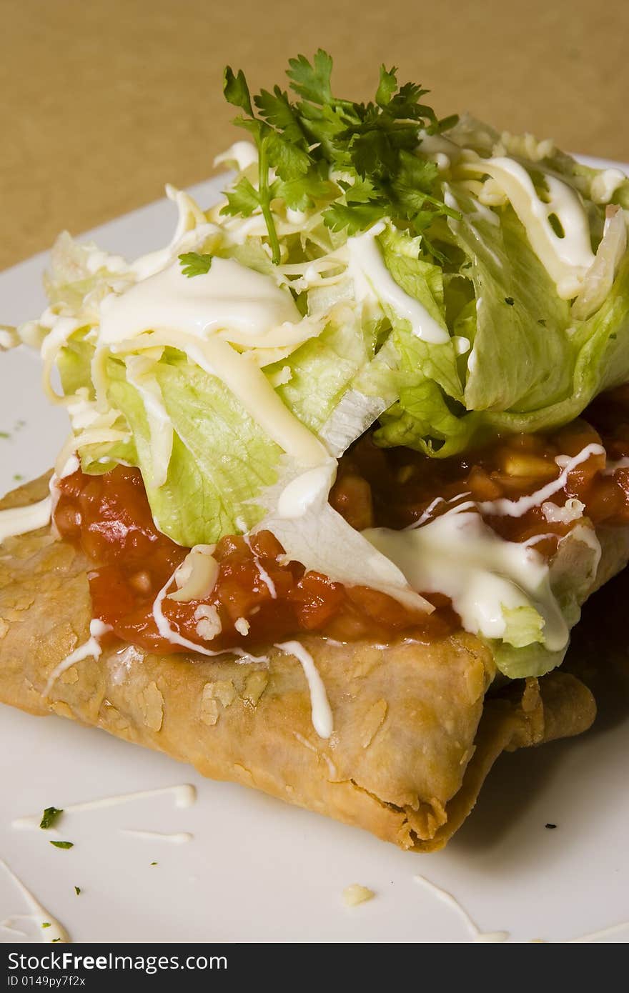 A plate of southwestern chimichangga with vegetable garnish