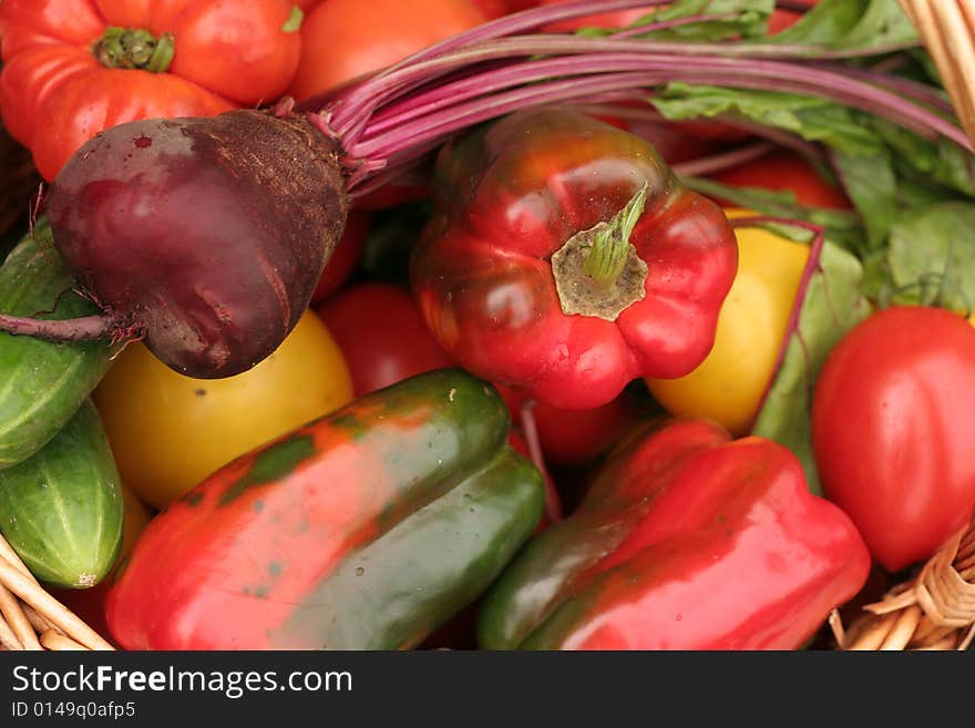 This is a close-up of fresh vegetables