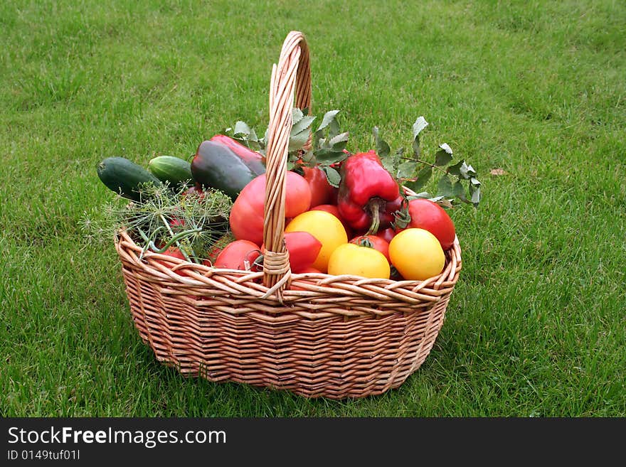 Basket with vegetables - autumn gifts of a nature