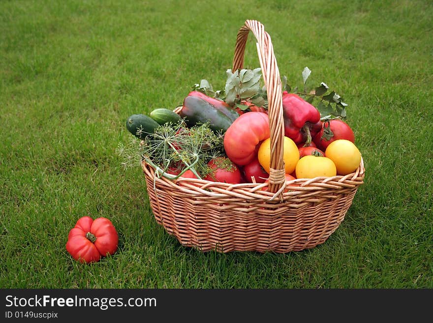 Basket with vegetables - autumn gifts of a nature