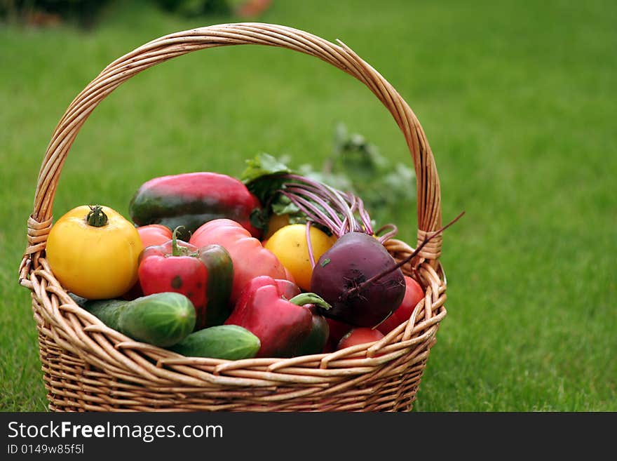 Basket with vegetables - autumn gifts of a nature