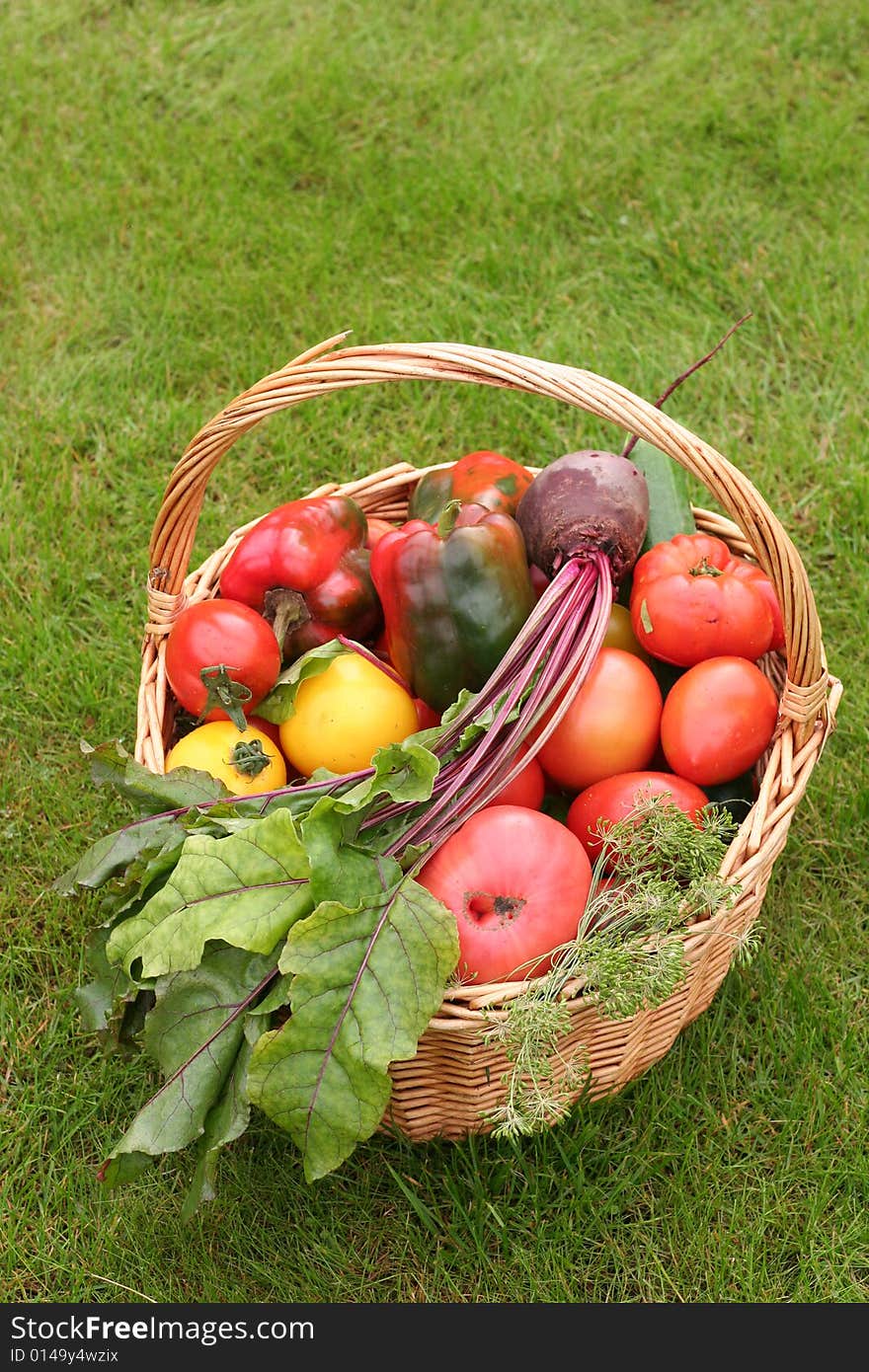 Basket with vegetables - autumn gifts of a nature