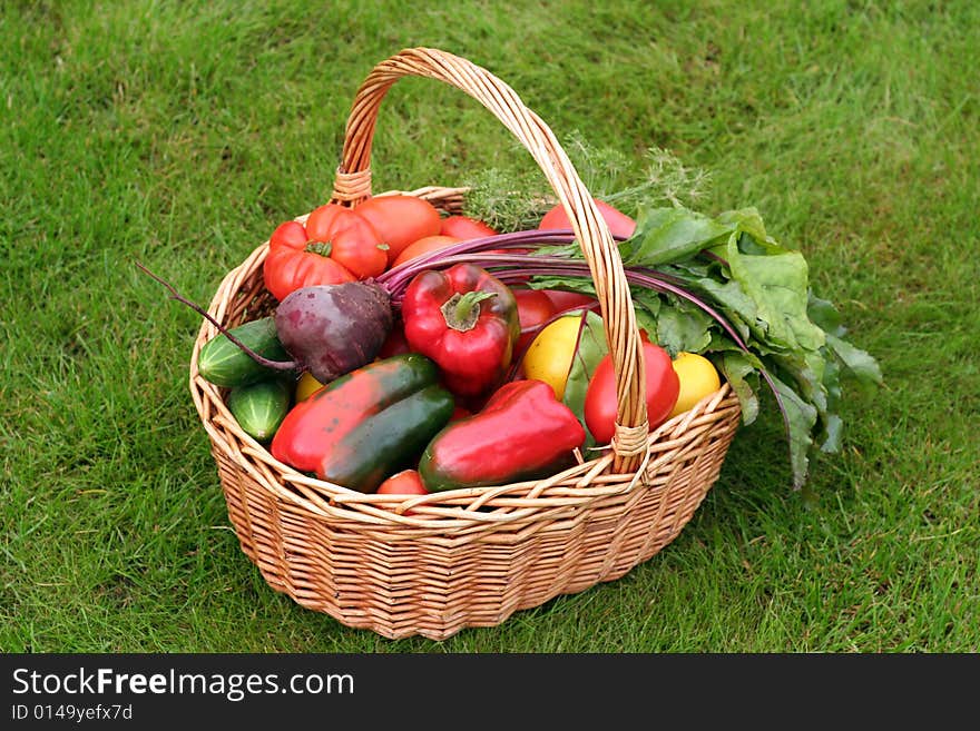 Basket with vegetables - autumn gifts of a nature