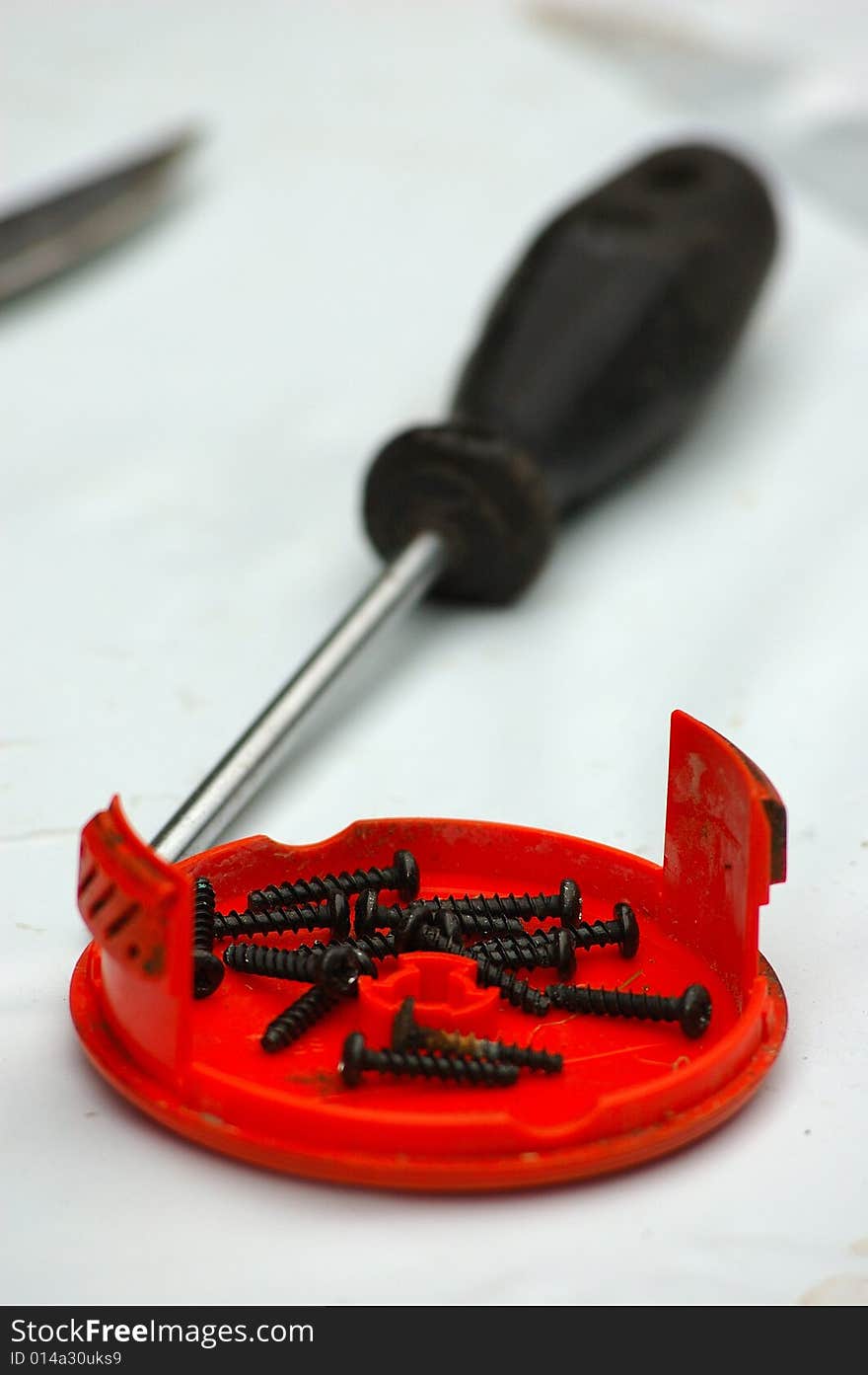 Screwdriver and Screws