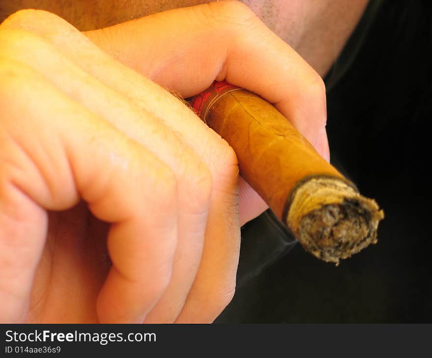 Male Hand Holding A Cigar