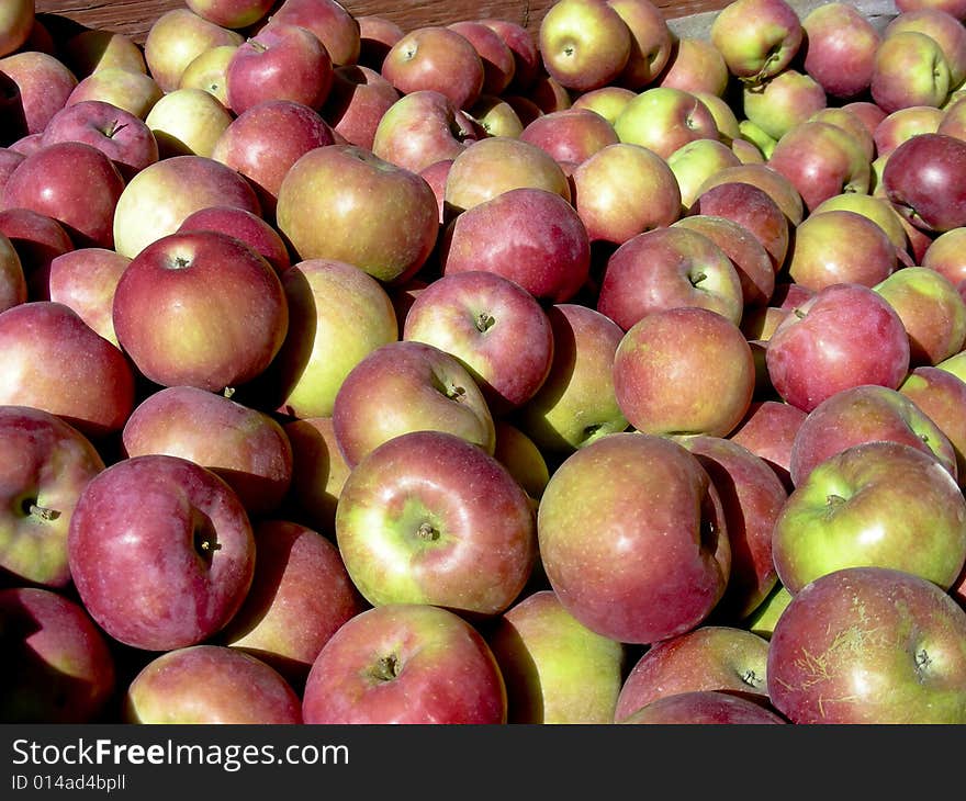 Lovely, juicy, tasty, delicious apples, in a bin at the local market.