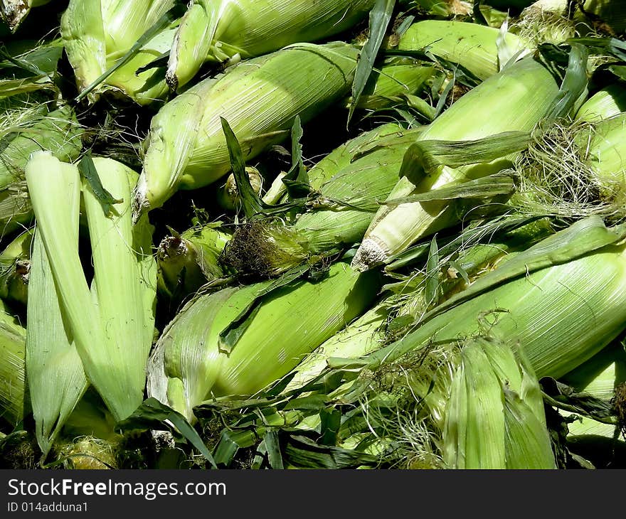 Cobs of corn, in a big heap at the local farmer's market.