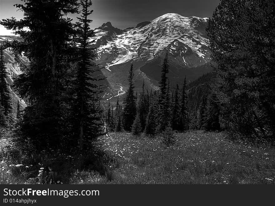 Majestic View of Mt Rainier at eastern approach at Sunset station. Sub-alpine flowers grace the meadows. Majestic View of Mt Rainier at eastern approach at Sunset station. Sub-alpine flowers grace the meadows.