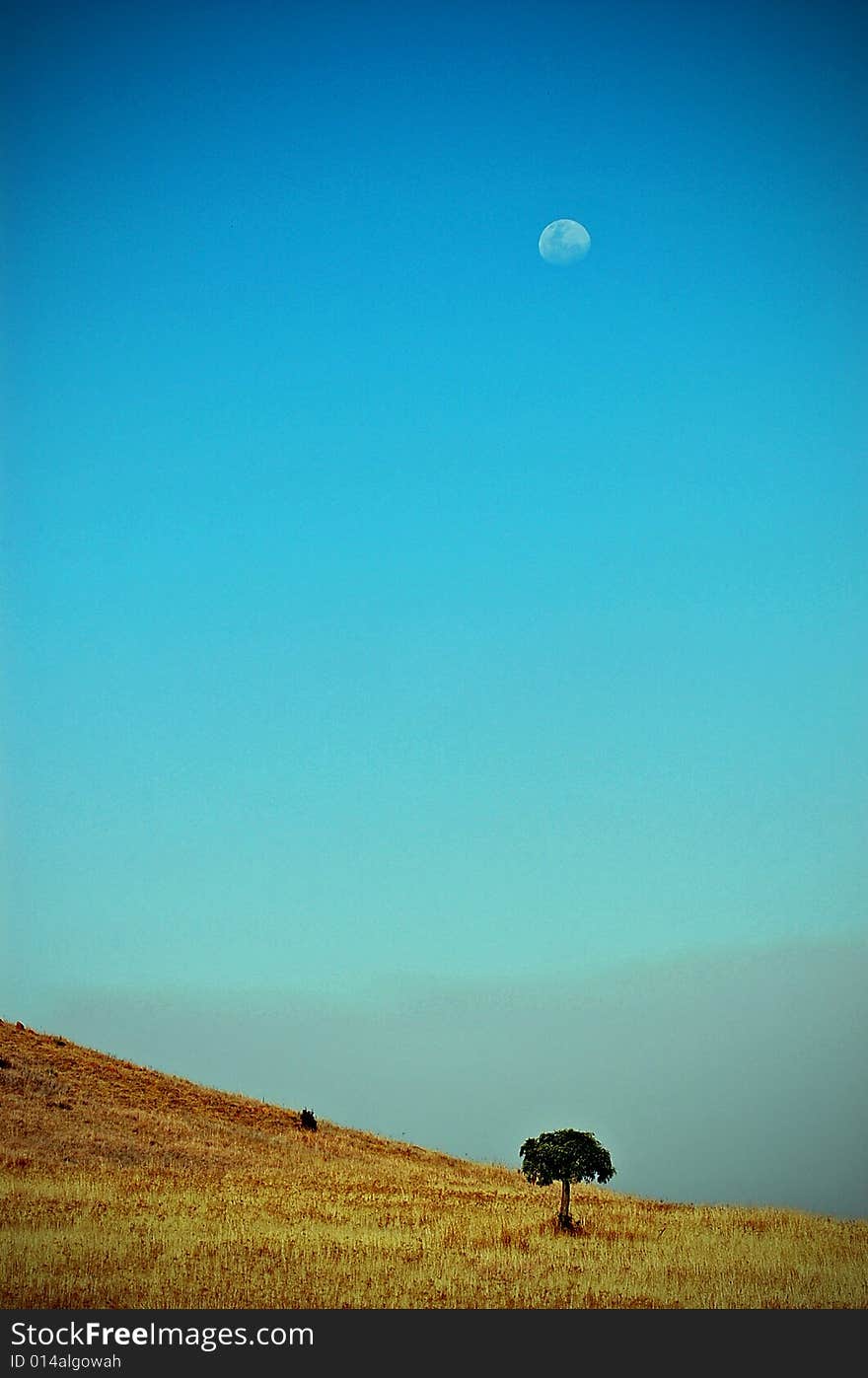 Tree and Moon in sky landscape