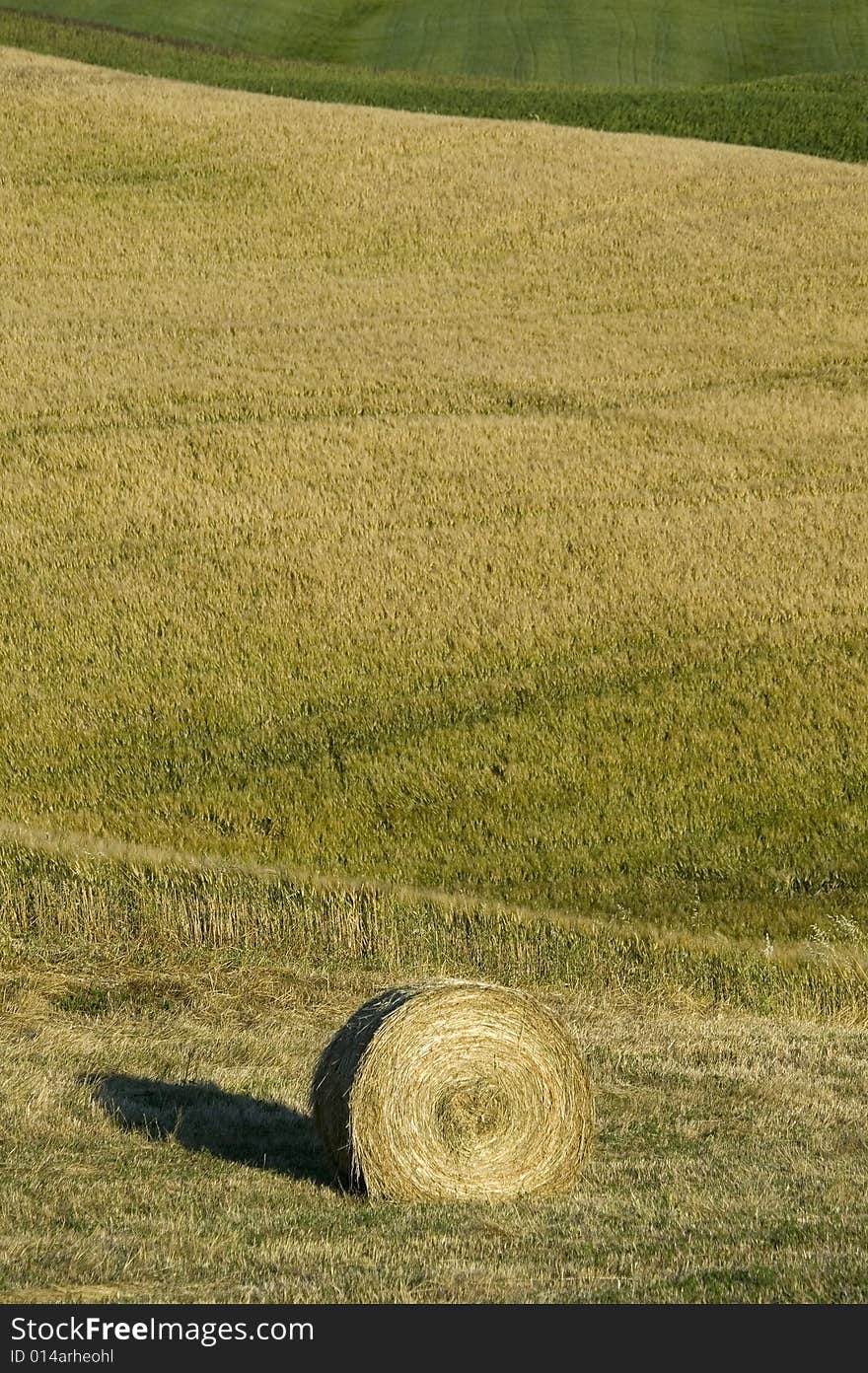 TUSCANY countryside with hay-ball