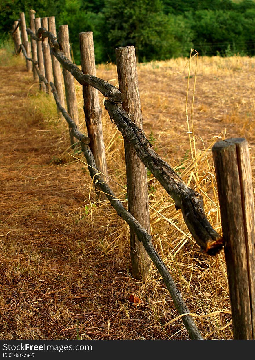 Fench in countryside