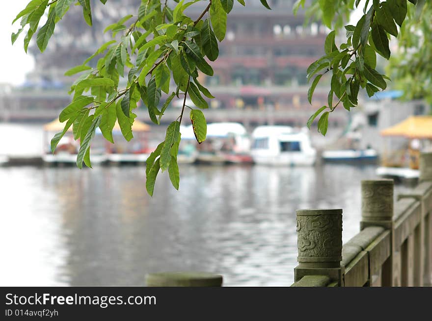 Leaves side by a lake. Leaves side by a lake