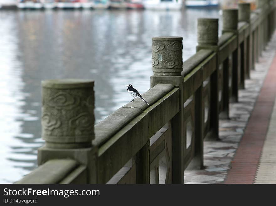 A bird on railing