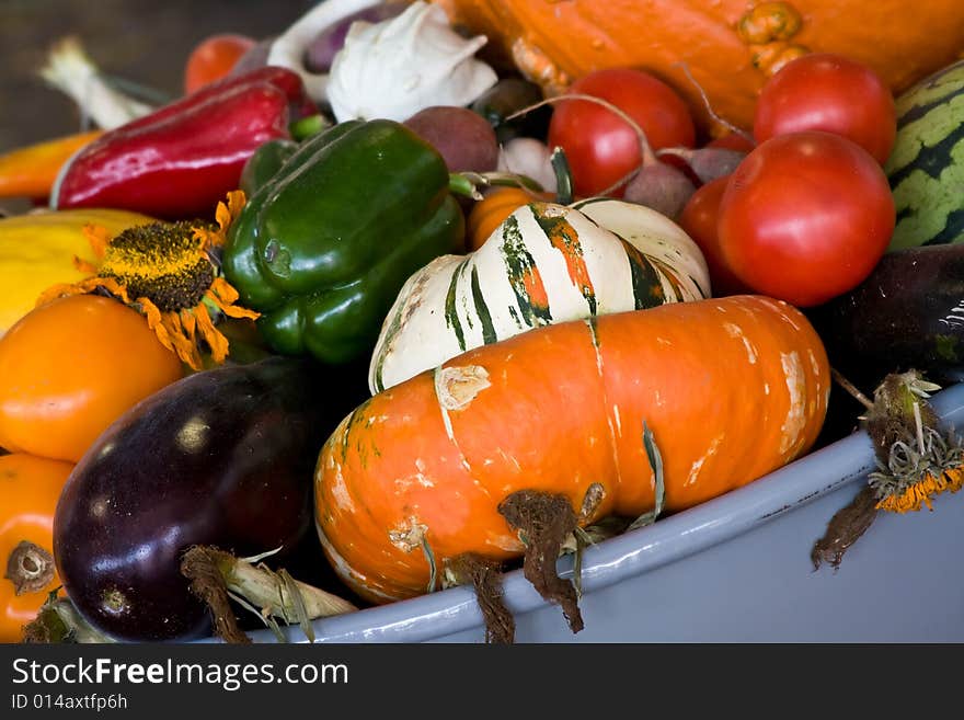 Wheelbarrow full of fall vegetables bright colors. Wheelbarrow full of fall vegetables bright colors