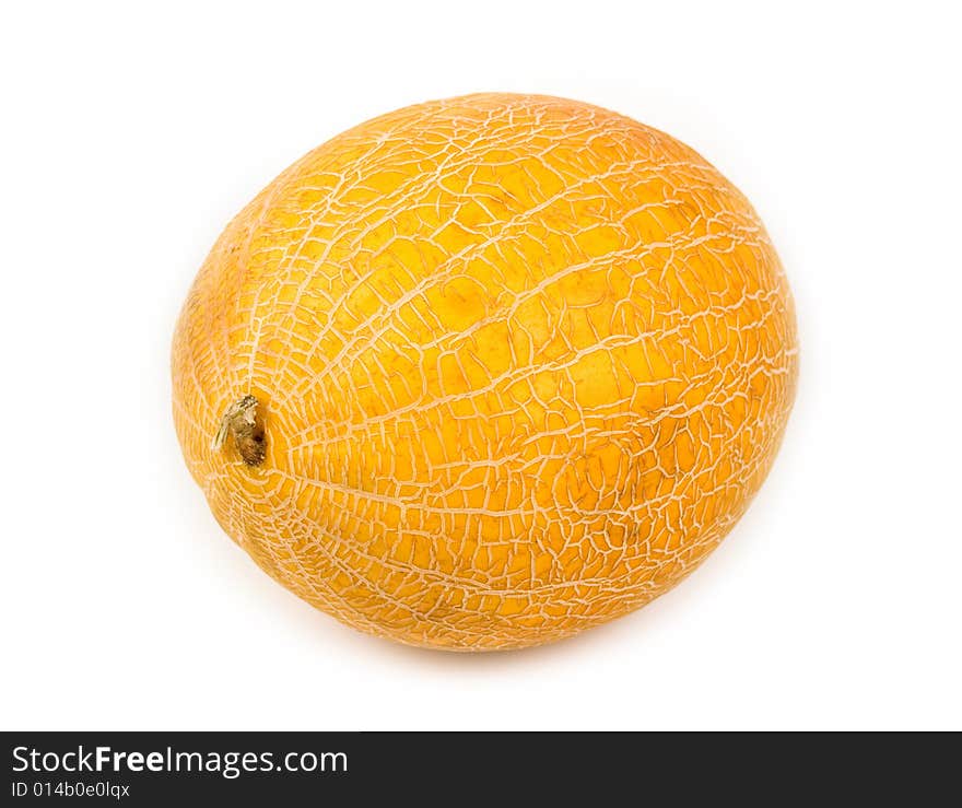 Plant and meal a yellow melon on 
a white background