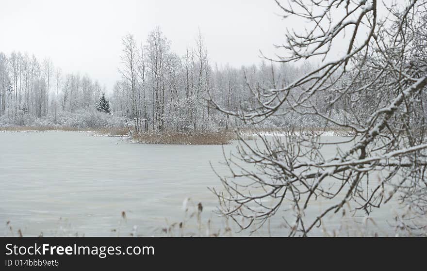 Winter Lake