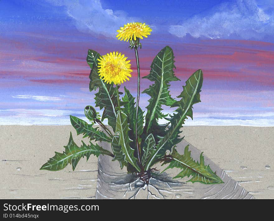 Hand made painting of dandelion flowers growing by the concrete. Hand made painting of dandelion flowers growing by the concrete