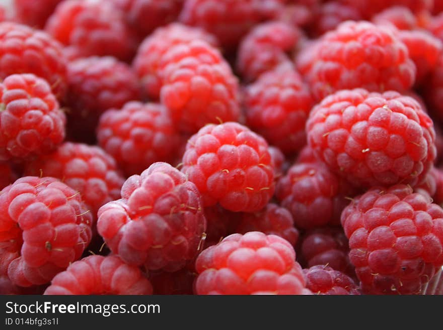 Close up of the fresh raspberries. Background. Close up of the fresh raspberries. Background.